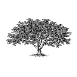 Liberty Tree Watering Company